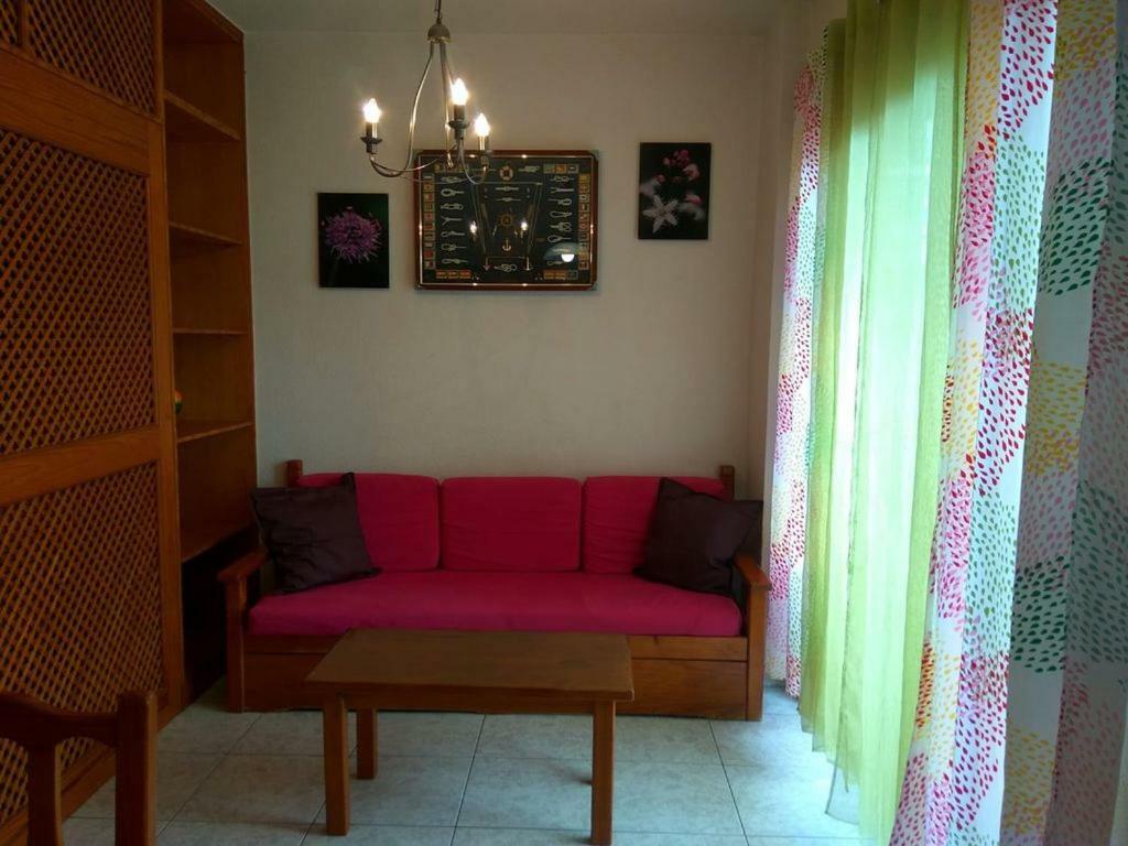Studio Valle Luz Пуерто де ла Крус Екстериор снимка
